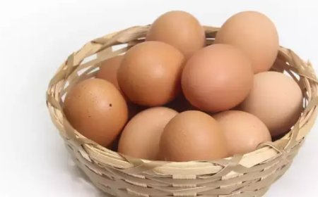 Bihar Principal found stealing Mid-Day meals eggs